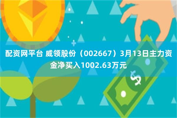 配资网平台 威领股份（002667）3月13日主力资金净买入1002.63万元