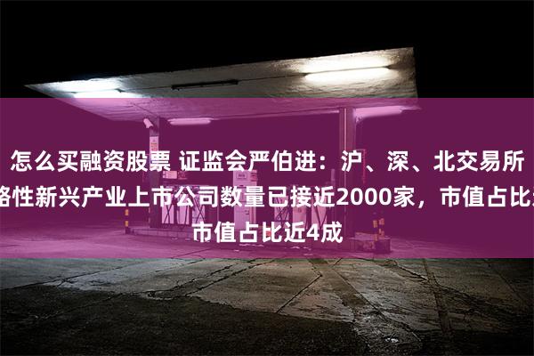 怎么买融资股票 证监会严伯进：沪、深、北交易所中战略性新兴产业上市公司数量已接近2000家，市值占比近4成