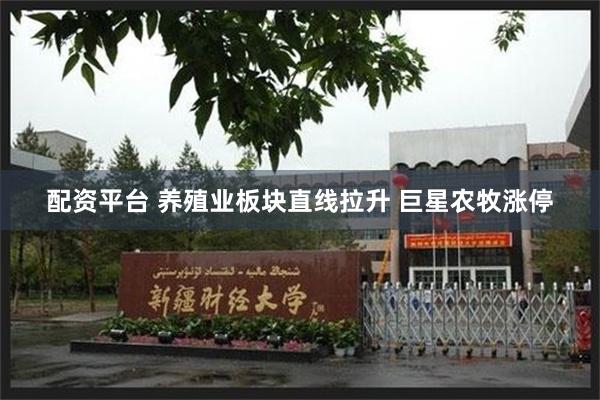 配资平台 养殖业板块直线拉升 巨星农牧涨停