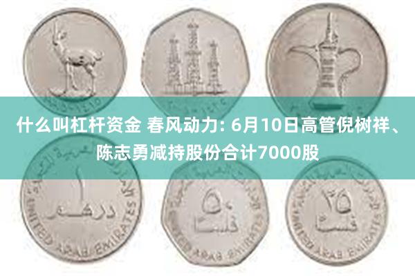 什么叫杠杆资金 春风动力: 6月10日高管倪树祥、陈志勇减持股份合计7000股