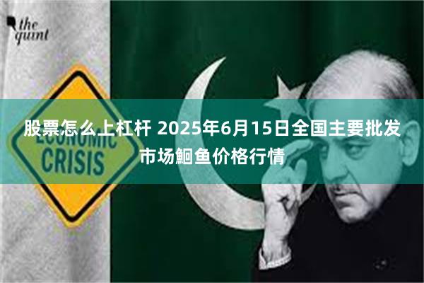 股票怎么上杠杆 2025年6月15日全国主要批发市场鮰鱼价格行情